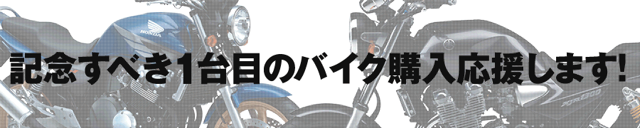 �o�C�N�f�r���[�E�A�j�o�[�T���[
