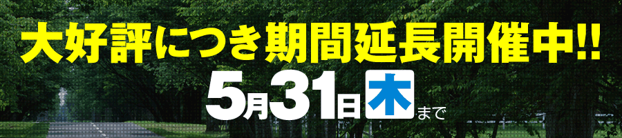 GW&�A�[���[�T�}�[�t�F�X2012